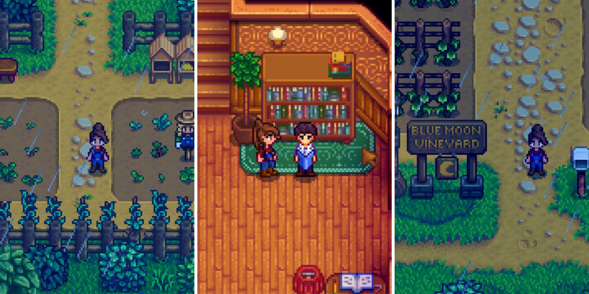 Stardew Valley Expanded - Susan at Stardew Valley Nexus - Mods and community