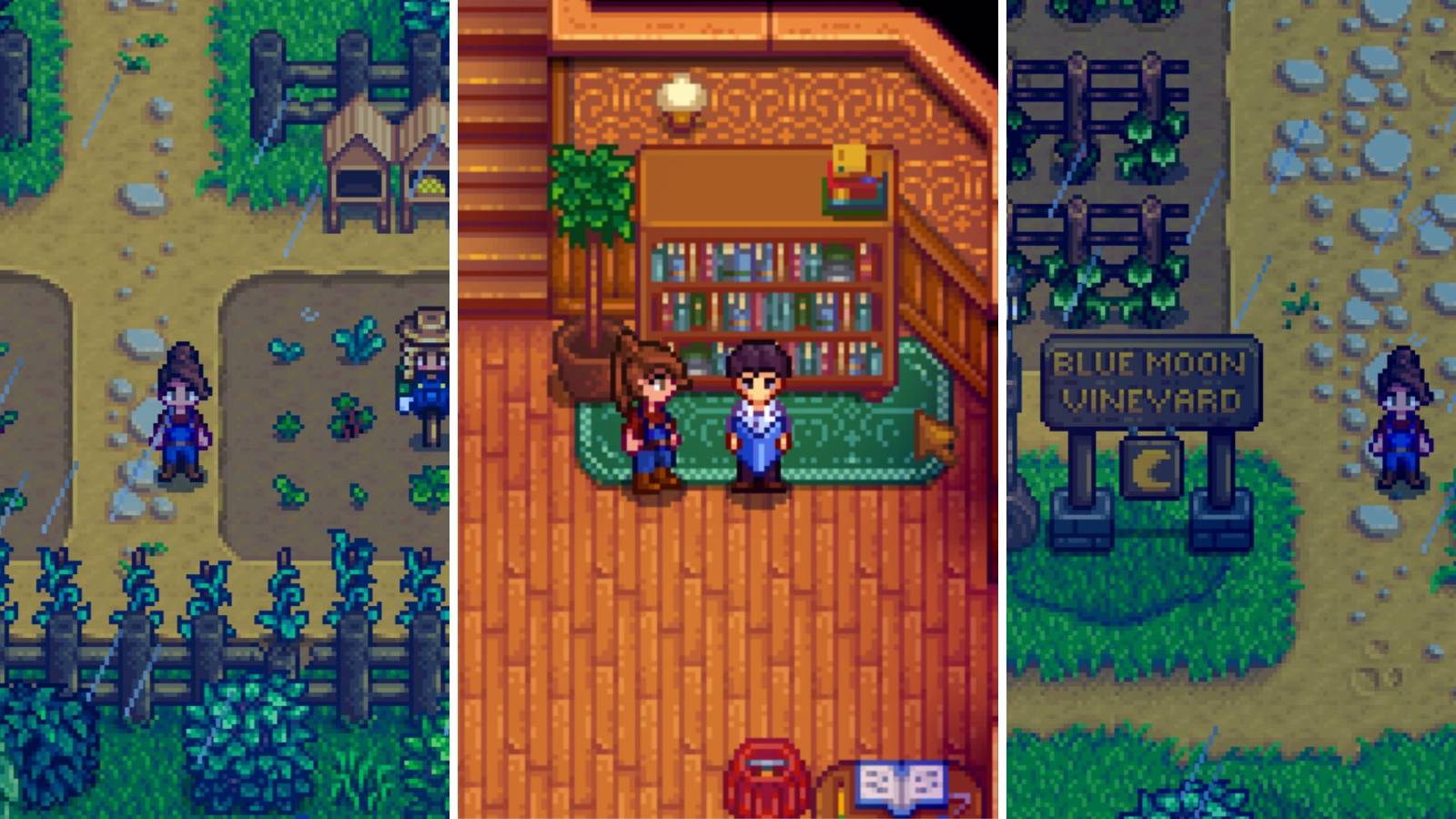 New areas in Stardew Valley Expanded
