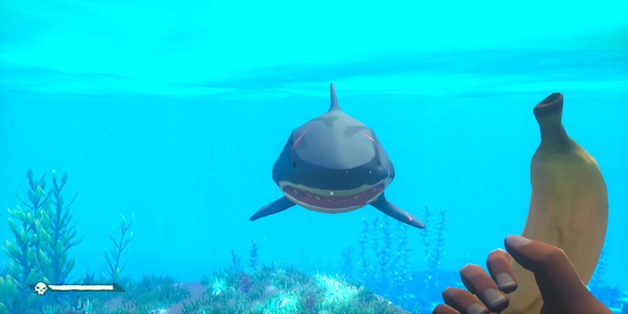 A Shark In Sea Of Thieves