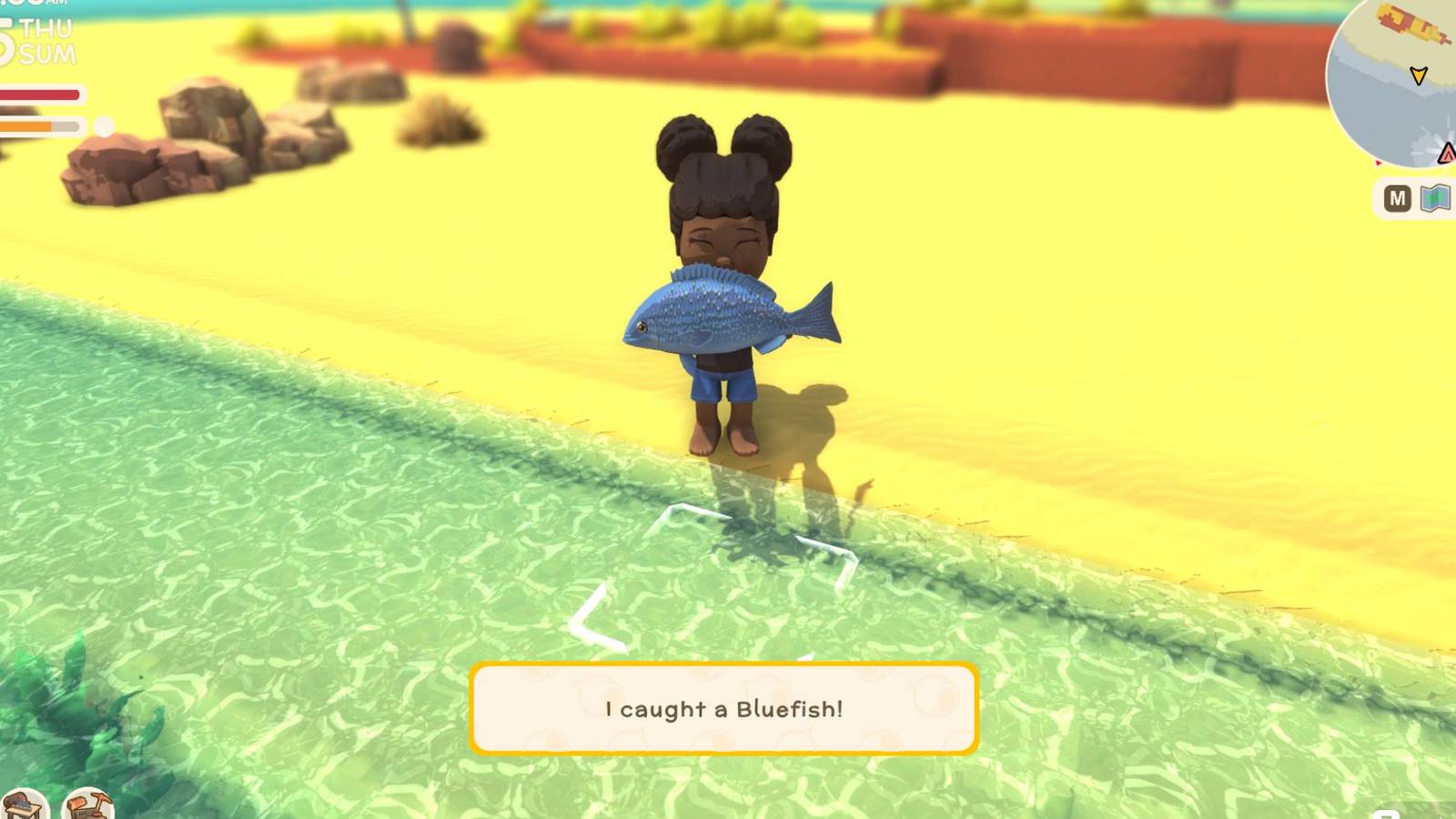 Dinkum Bluefish Fishing