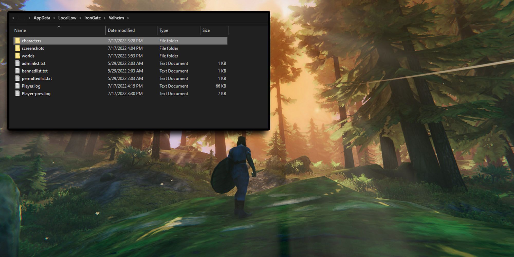 Valheim - Saved Characters And World Backup Files Location In Windows Explorer