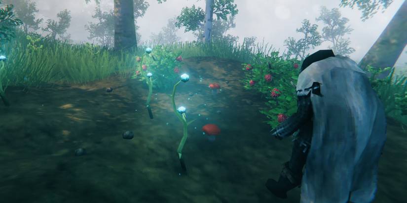 Valheim - Thistle Mushroom and Raspberries Spawns