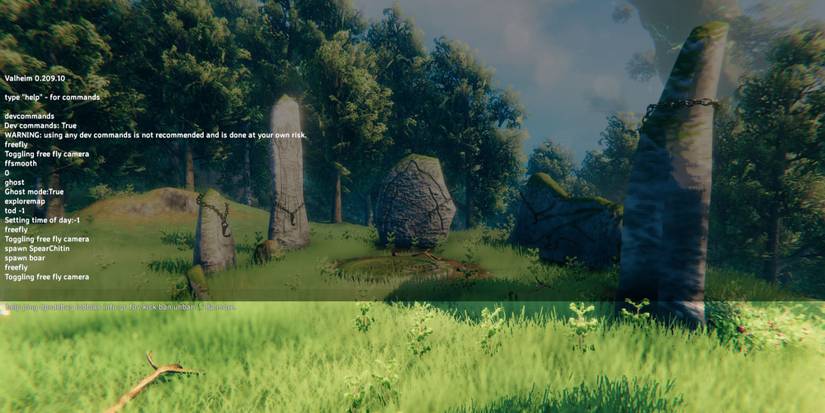 Valheim - Using The Debug Menu