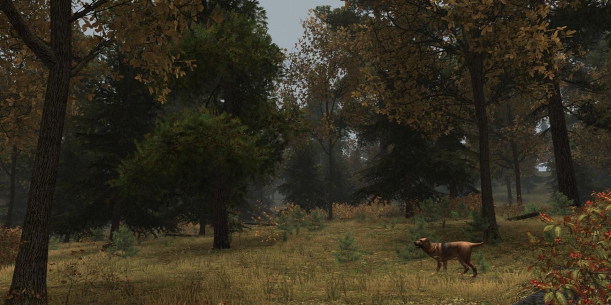 animal in the forest in Walden, A Game