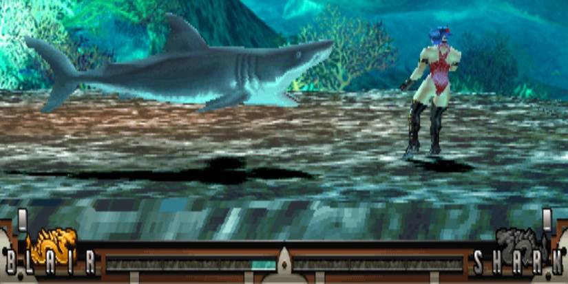 Weirdest Fighting Games- Fighting Layer 