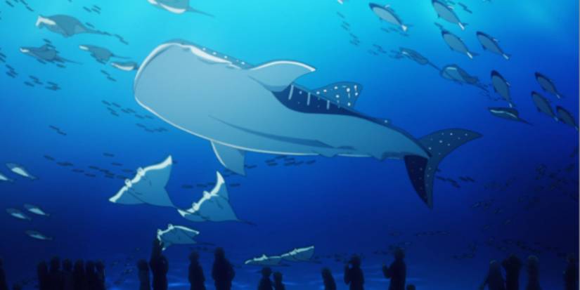 Whale Shark, A Sister's All You Need