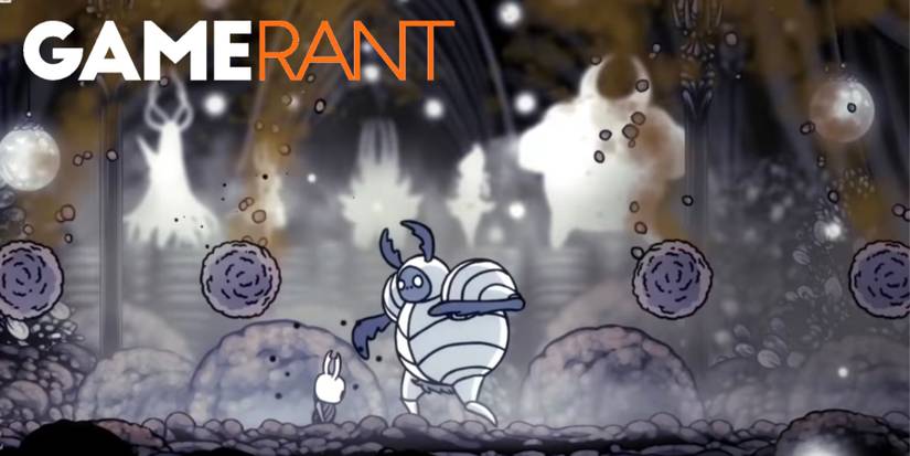 Hollow Knight White Defender