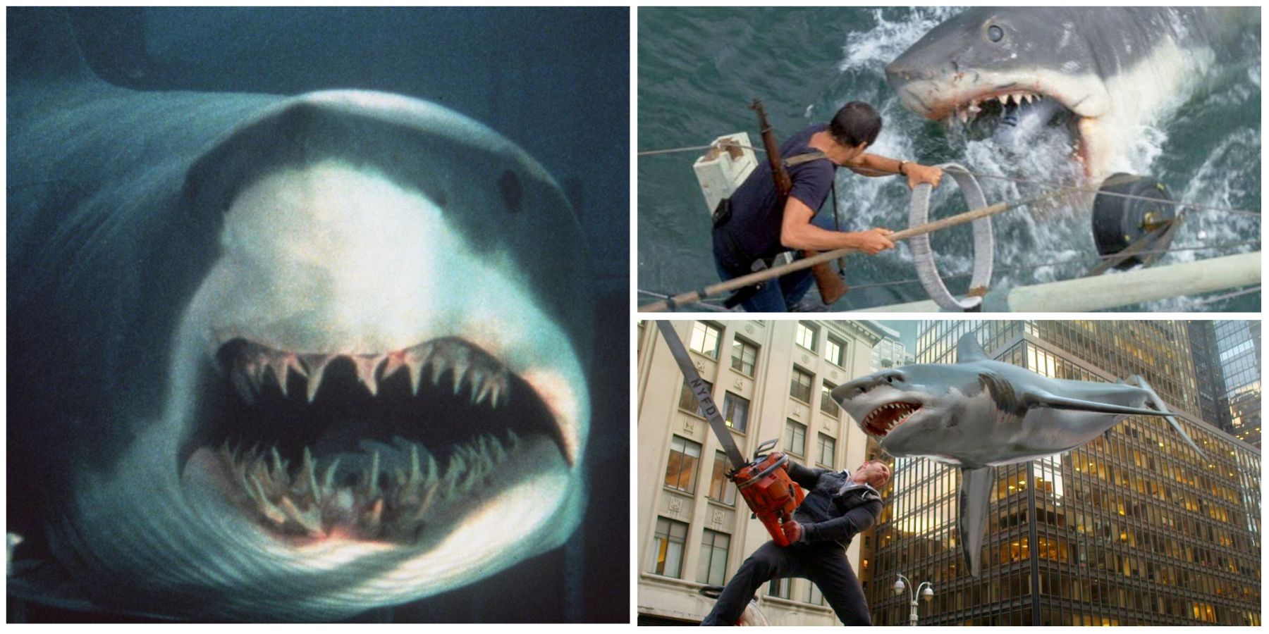Deep Blue Sea Jaws Sharknado shark movies