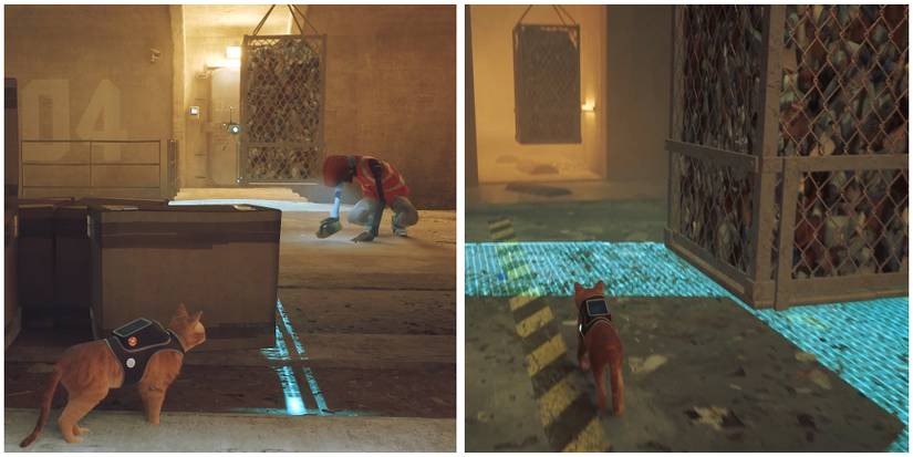 a robot cleaning in stray