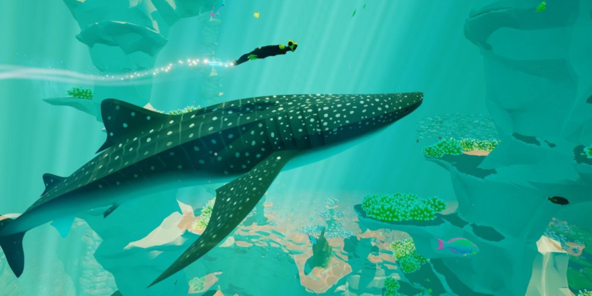 player diver character swimming with a whale shark
