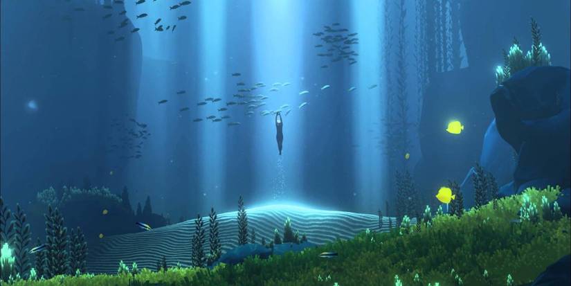 The diver descends into a luscious cave filled with sea life