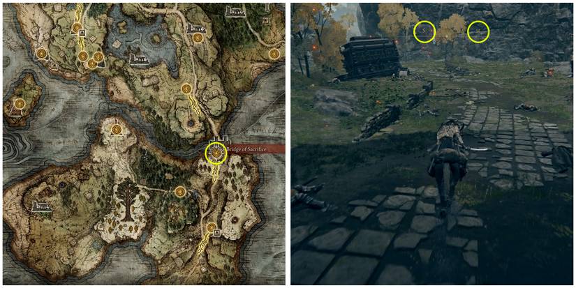 ailing village location in elden ring