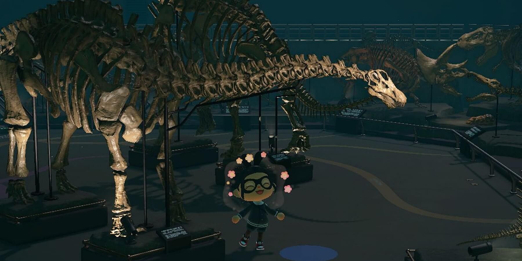 animal crossing new horizons fossil museum