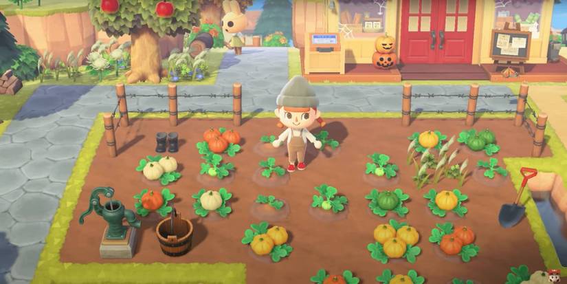 animal crossing new horizons pumpkins fall season