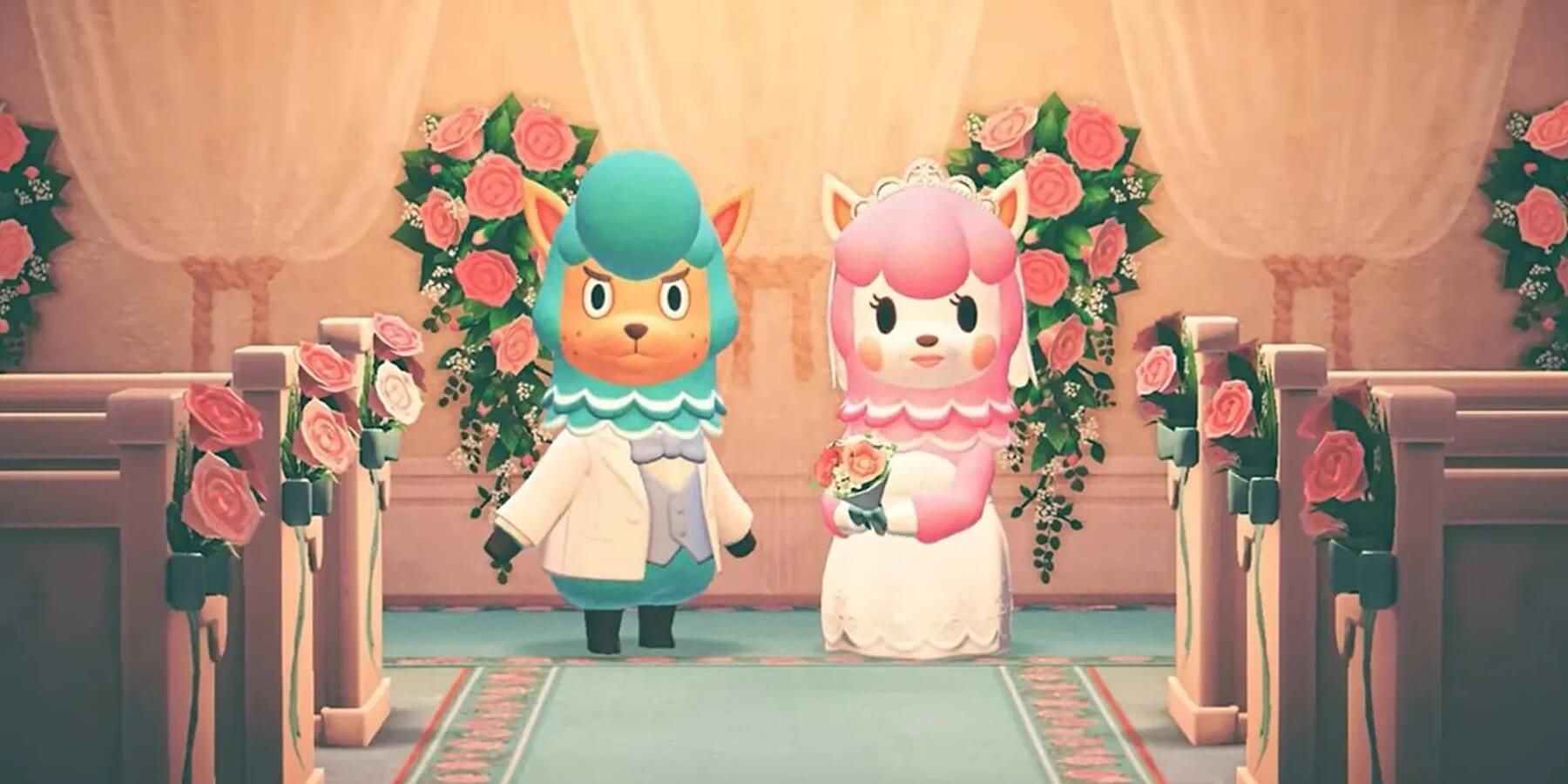 Animal Crossing: New Horizons Fan Shares Their Incredibly Cute Pregnancy Announcement
