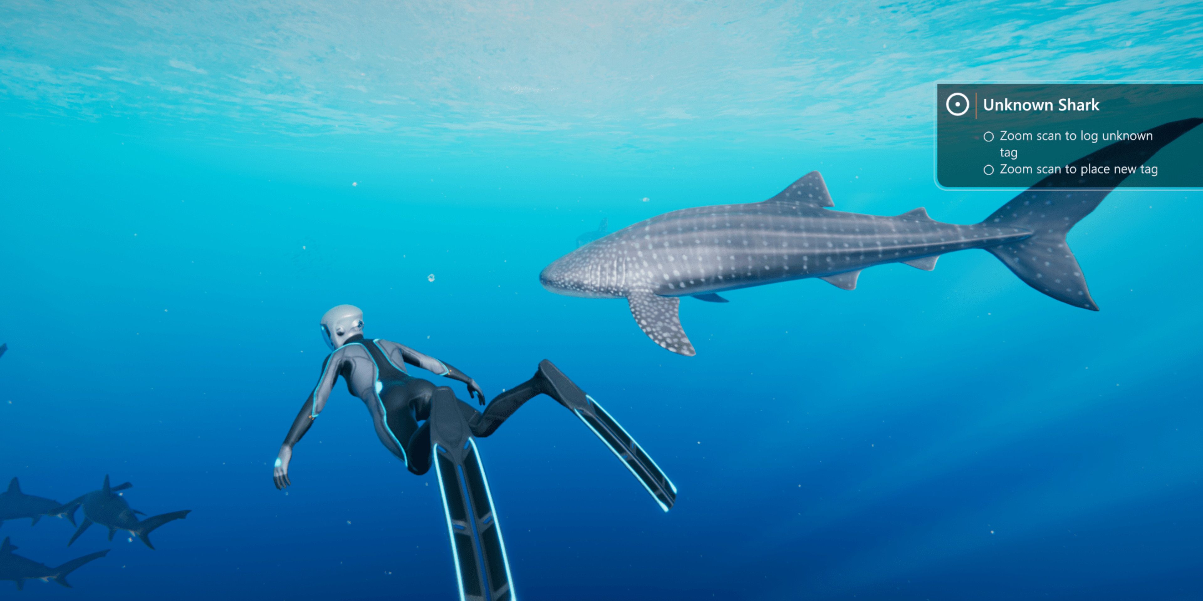 player diver first time analyzing a whale shark