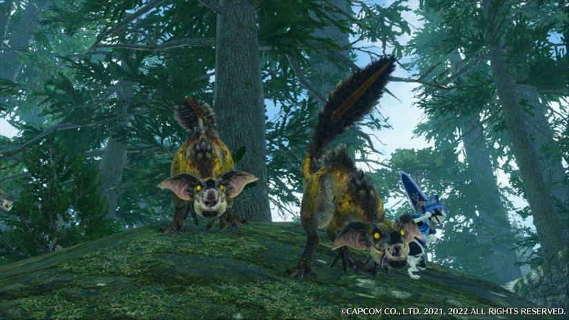 boggi mh rise citadel