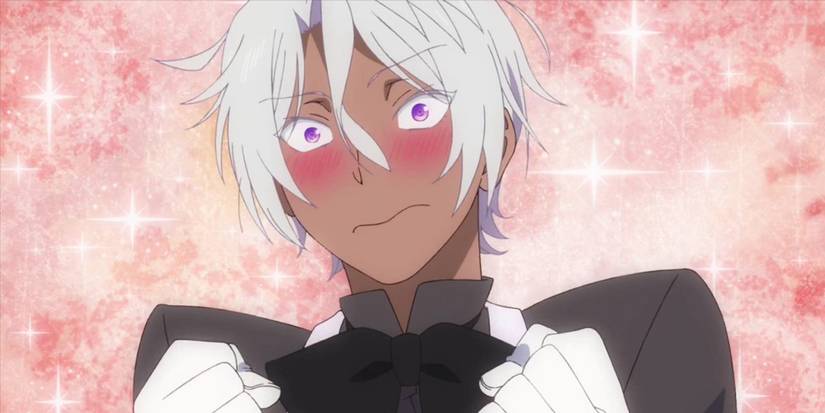 case study of vanitas