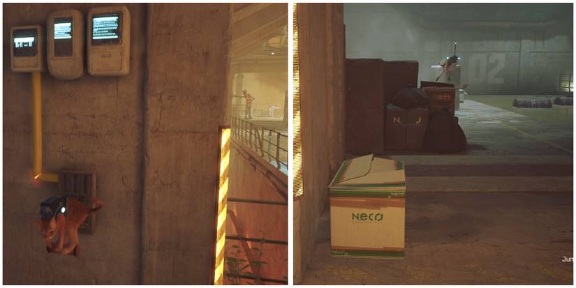 cat pulling the lever in stray