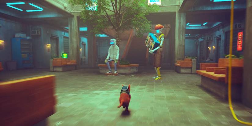 cat running past the robots in stray