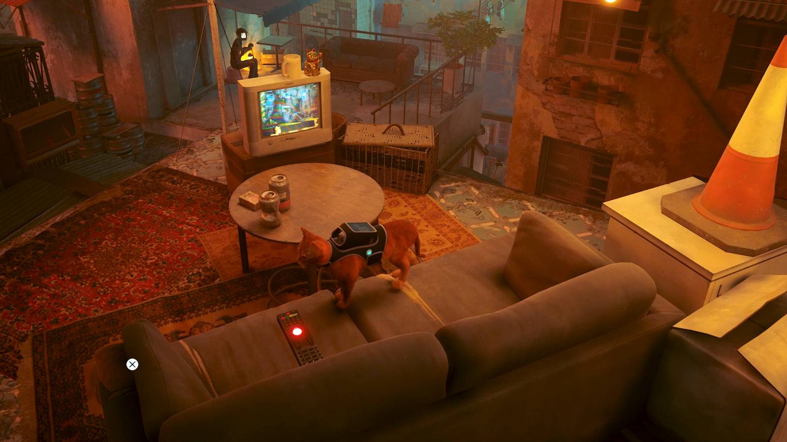 cat switching the tv in stray