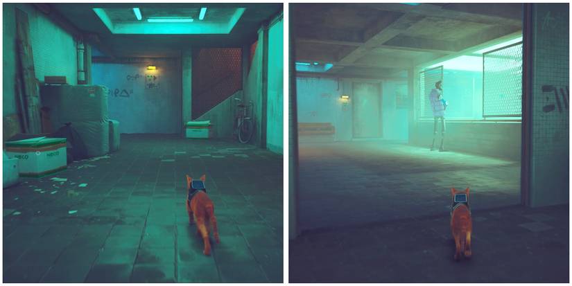 climbing to the third floor in stray