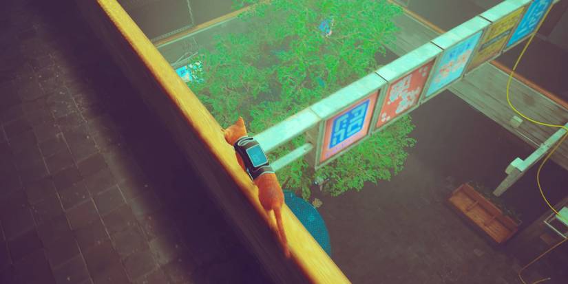 crossing over the balcony’s railings in stray