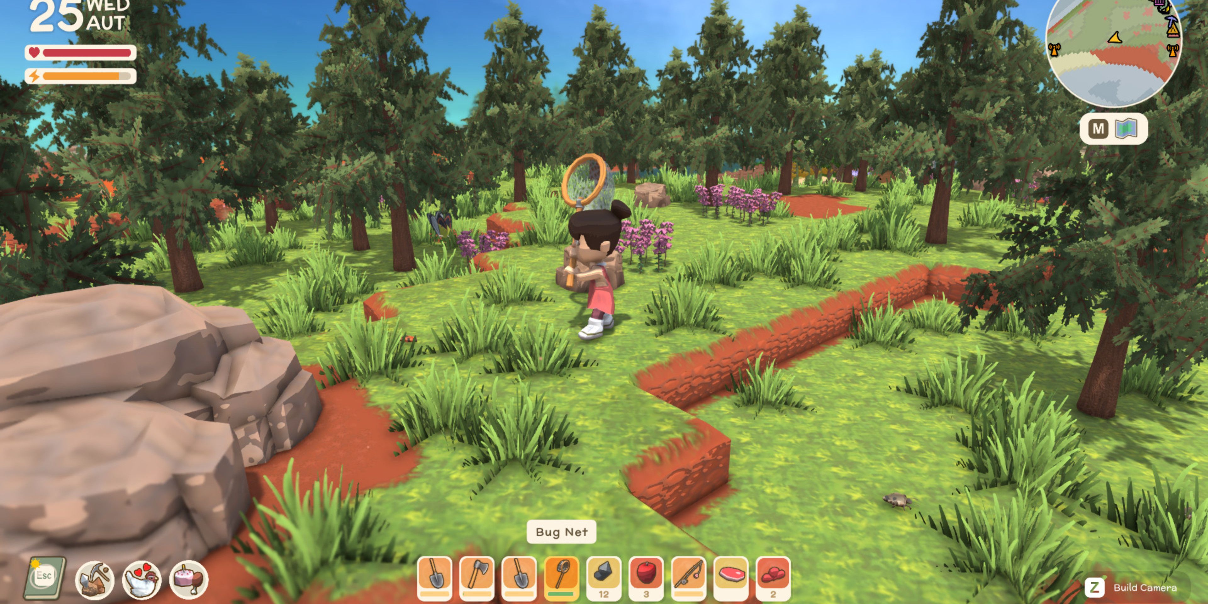 player hunting for bugs in one of Dinkum's four biomes