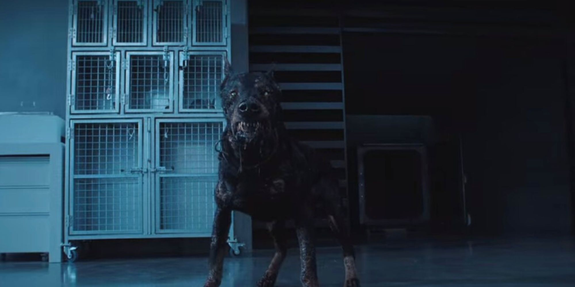 Infected dog in the New Raccoon City Lab in Netflix's Resident Evil series.