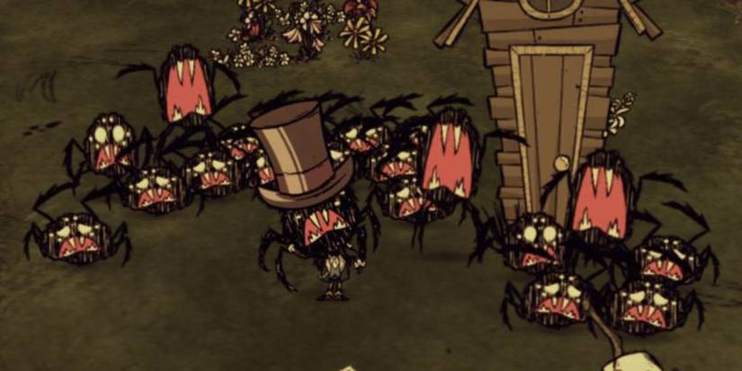 don't starve spider
