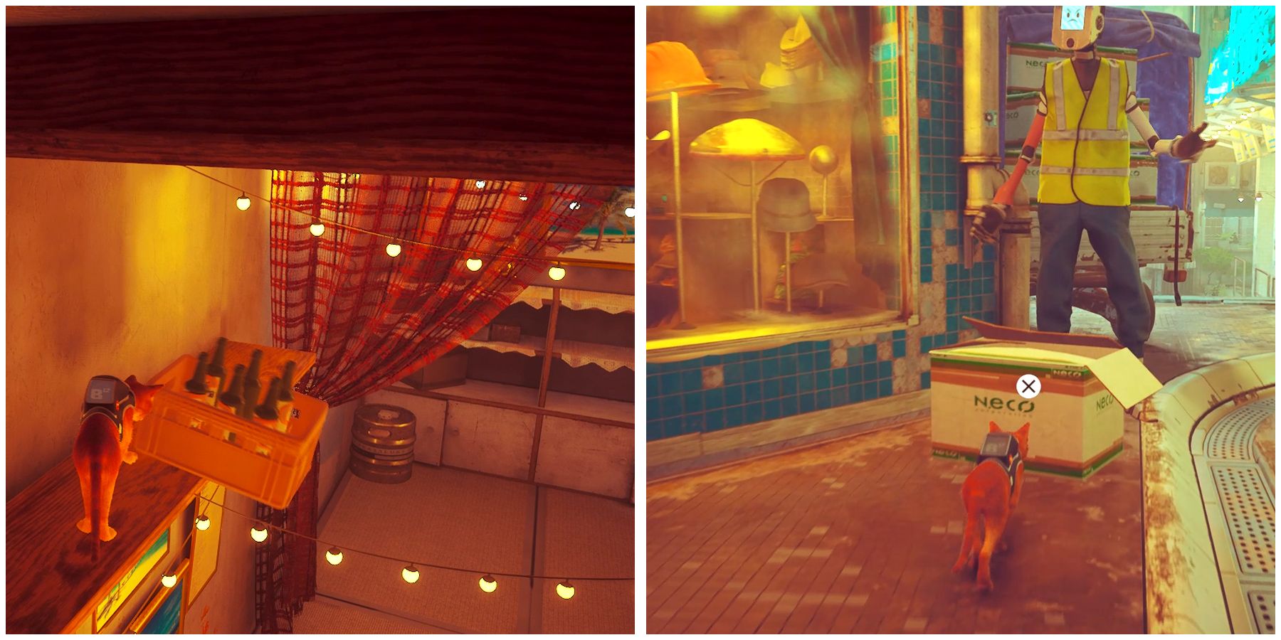 dropping the empty bottles on the robot’s head in stray