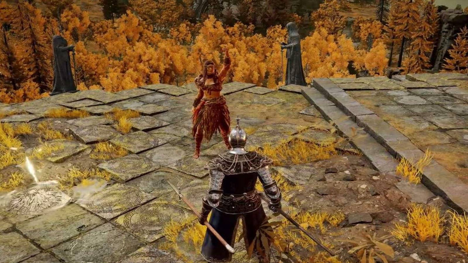 elden-ring-pvp-near-site