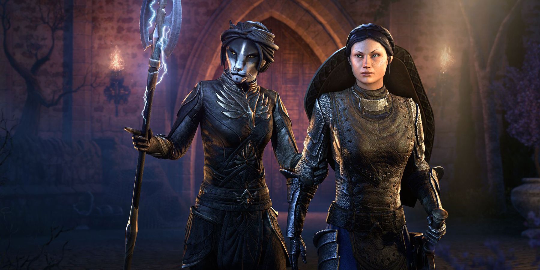 A khajiit and a human standing together in the Elder Scrolls Online