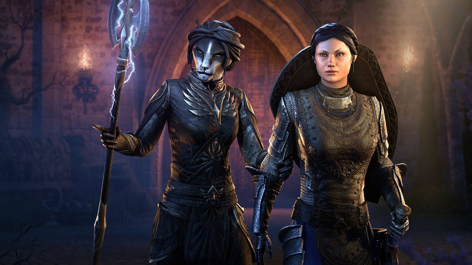 A khajiit and a human standing together in the Elder Scrolls Online