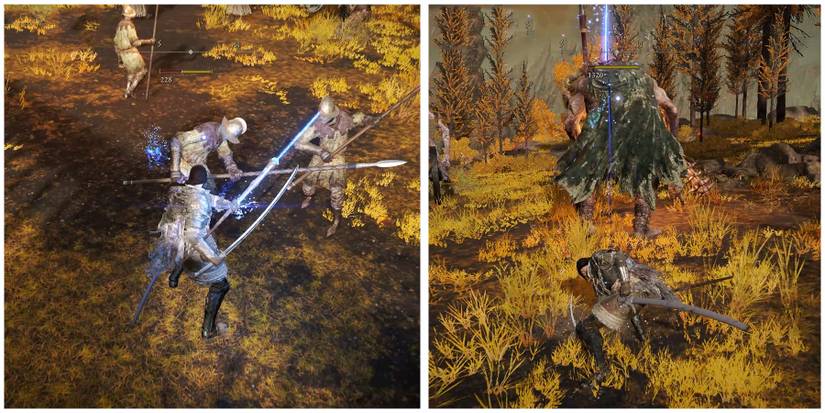 eliminating the enemy in elden ring