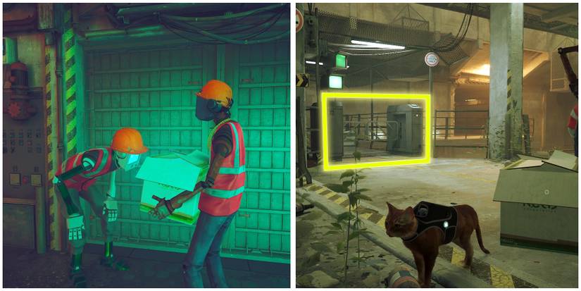 entering neck crop in stray