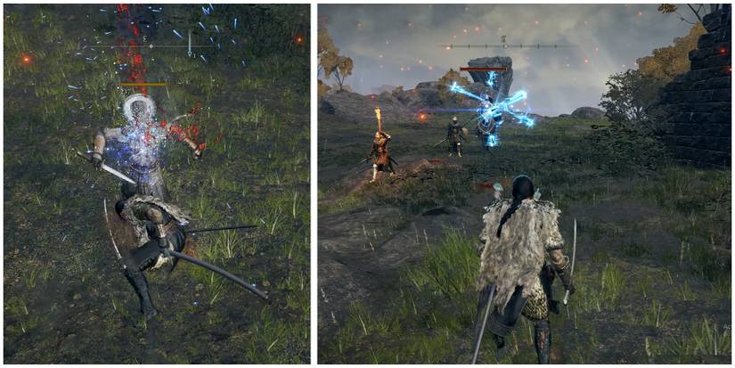 tarnished fighting in elden ring
