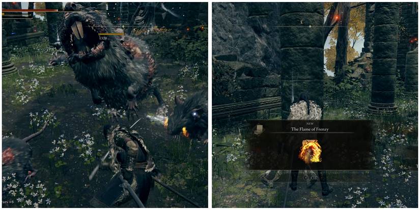 fighting rats and claiming the flame of frenzy in elden ring