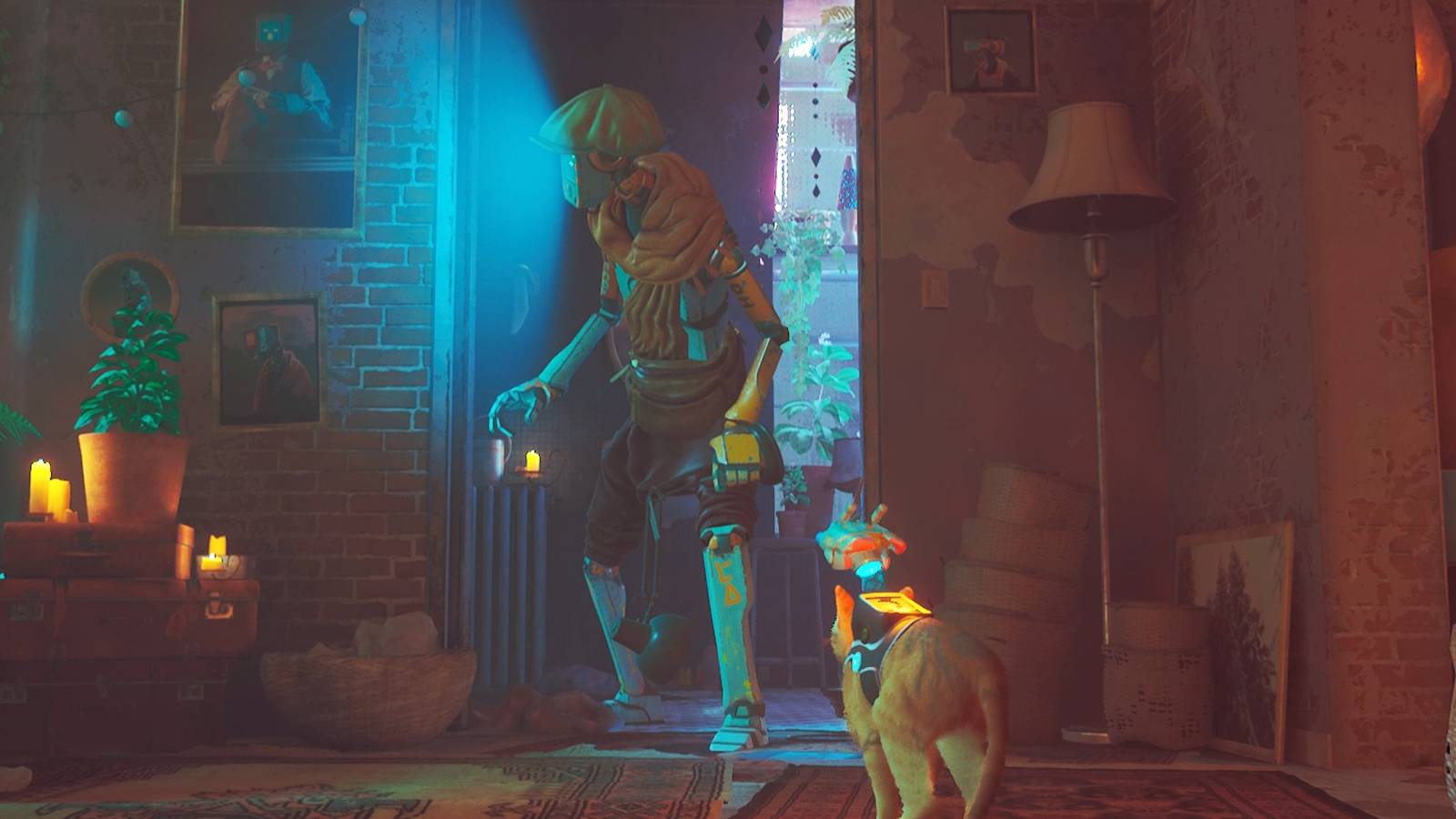 finding clementine in midtown in stray