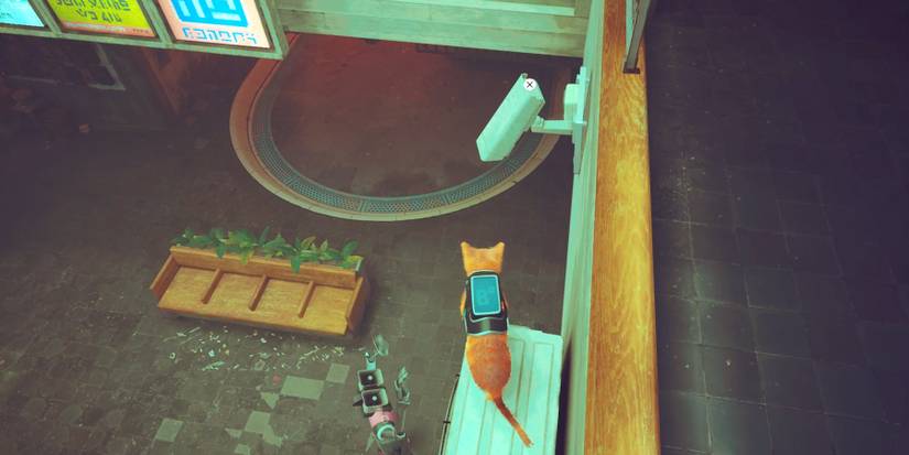 first surveillance camera in stray