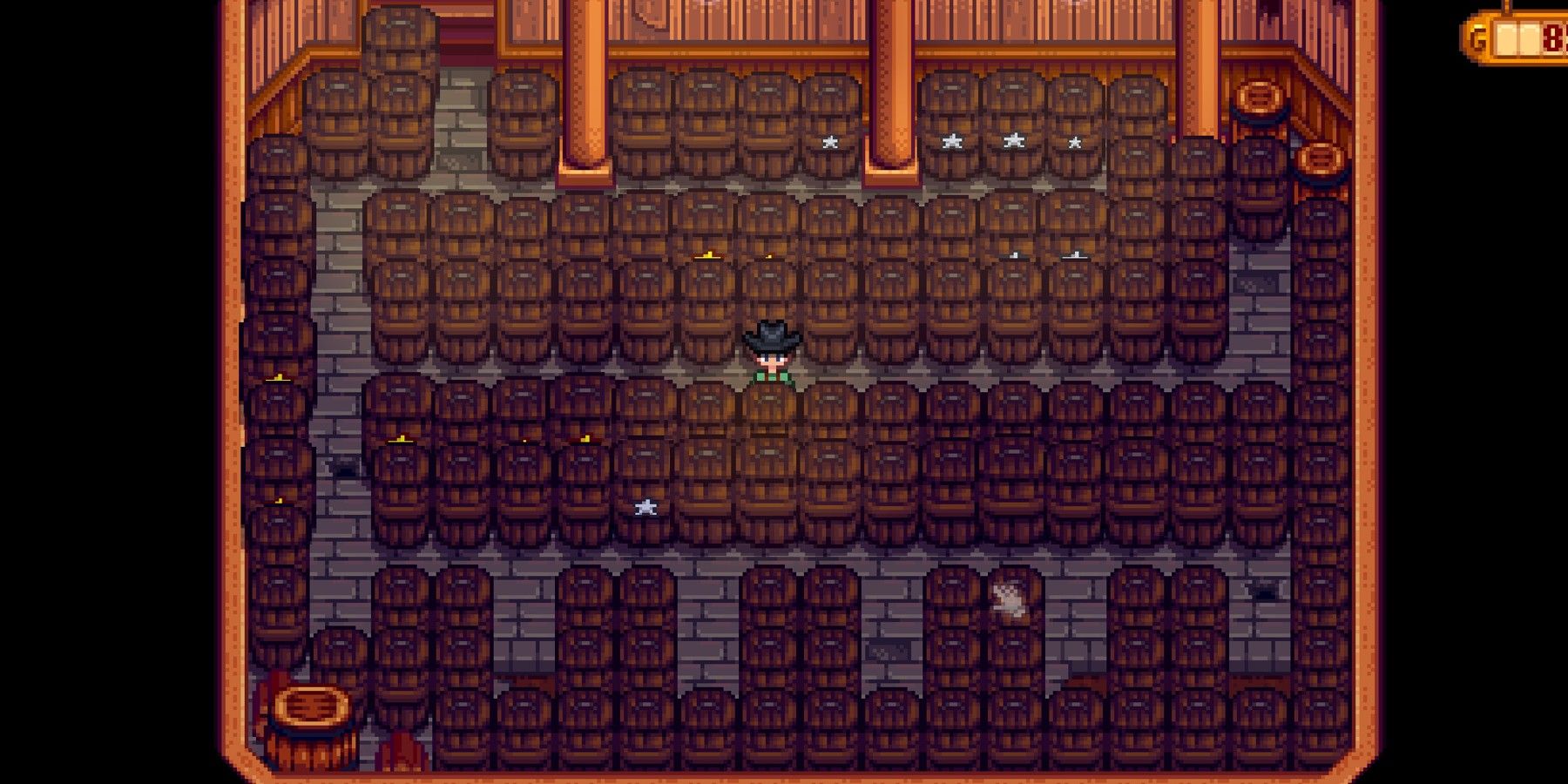 full accessible cellar stardew valley