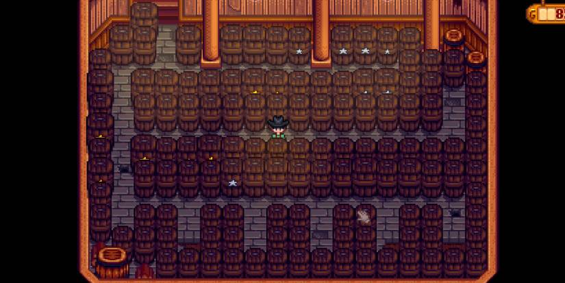full accessible cellar stardew valley
