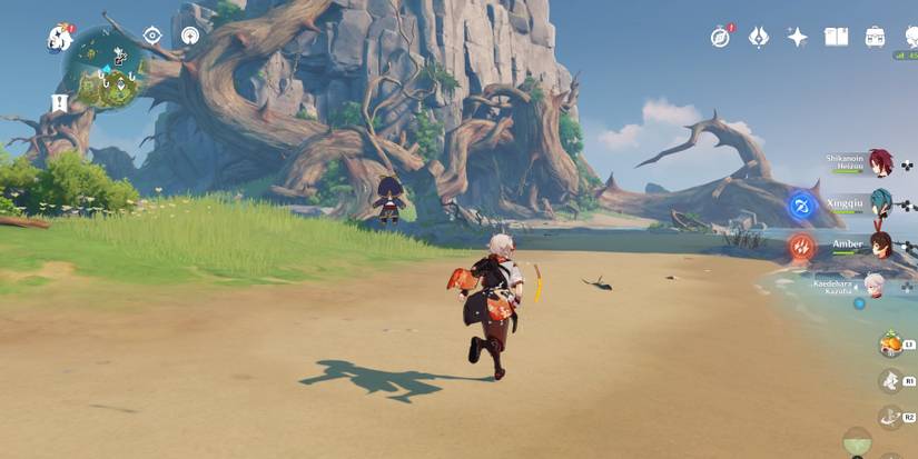 going to the puzzle cave in genshin impact