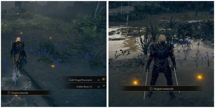 gold firefly first location in elden ring