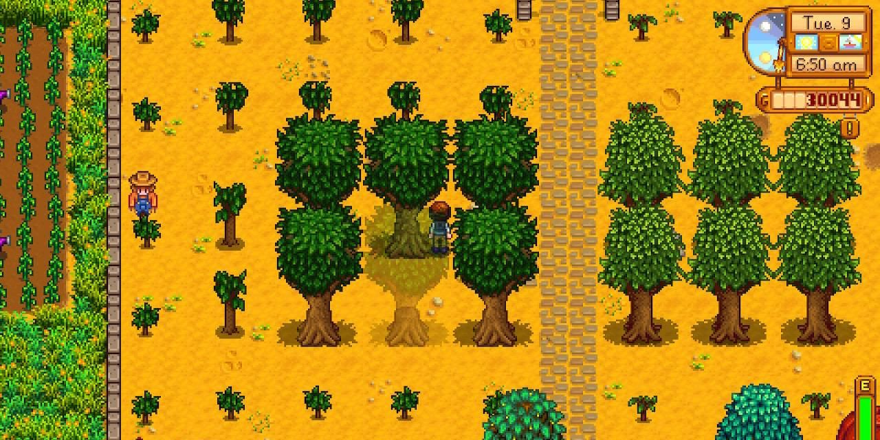 Stardew Valley Fruit Tree Guide