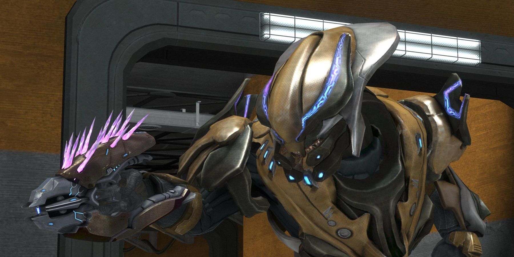 A Halo Reach got a painful reminder of how strong Elites are in the game's campaign.