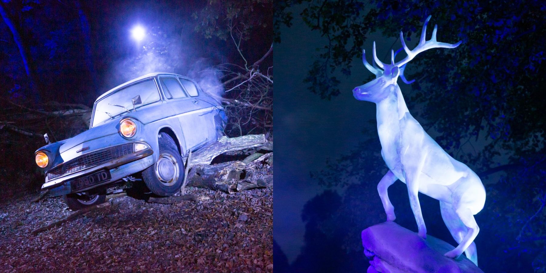 Immersive Harry Potter Experience to Make October Debut in US