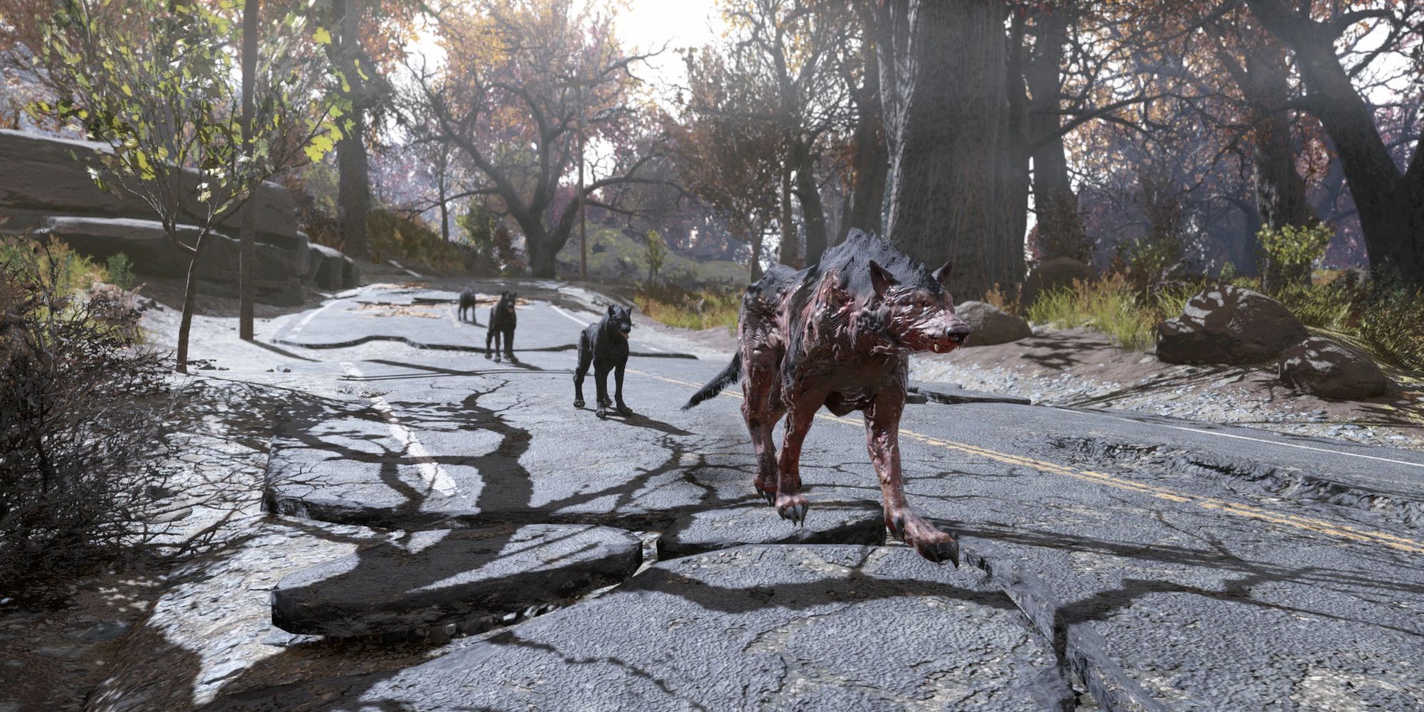 Dogs walk down a road in Fallout 76