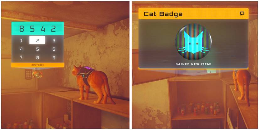 how to open the safe in stray