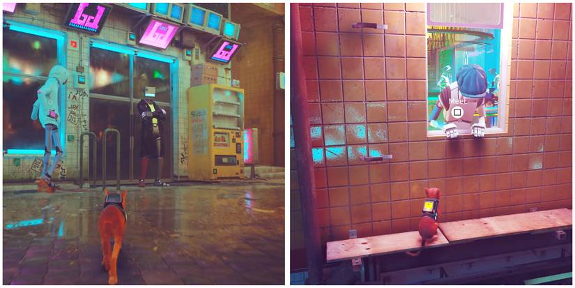 infront of the nightclub in stray